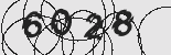 Захисний код